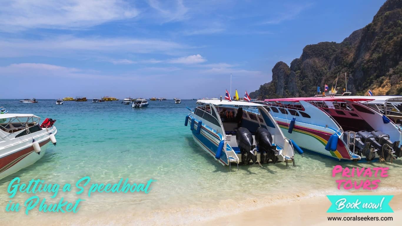 Getting a speedboat in phuket to the exotic islands of the andaman sea