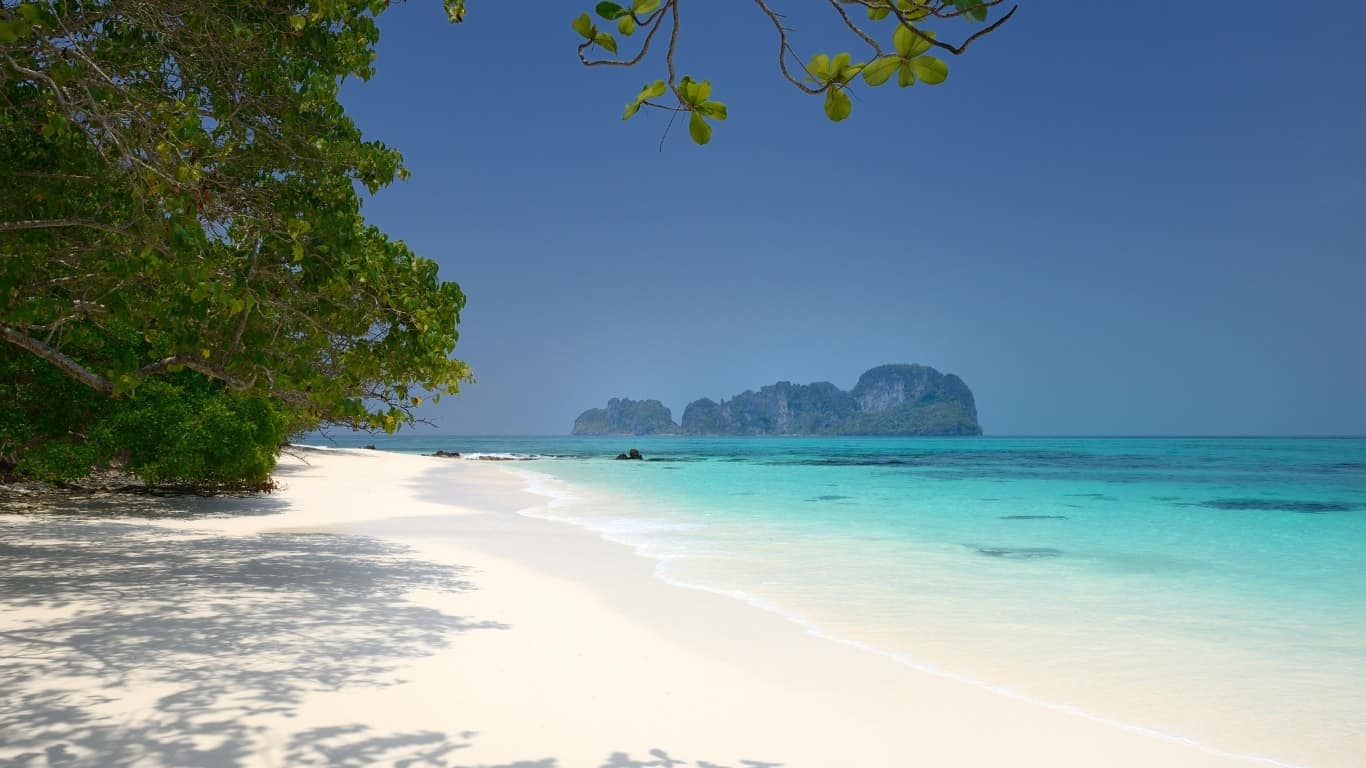 Set foot on the stunning beaches of the phi phi islands