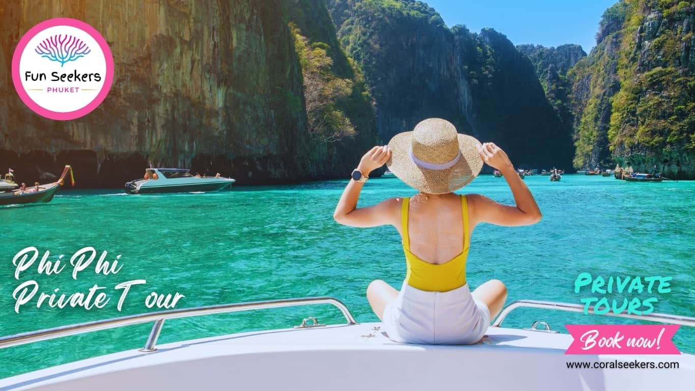 Phi phi private tour: the ultimate day charter