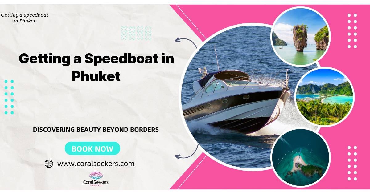 Speedboat in phuket banner