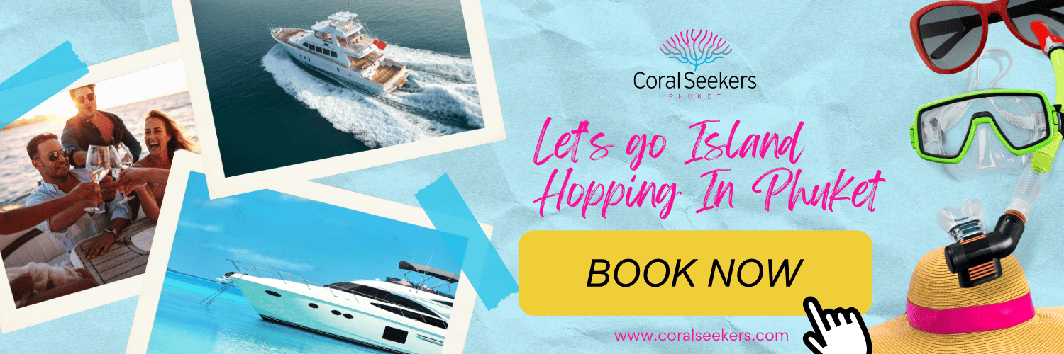 Coral seekers yachts » 15 january 2018