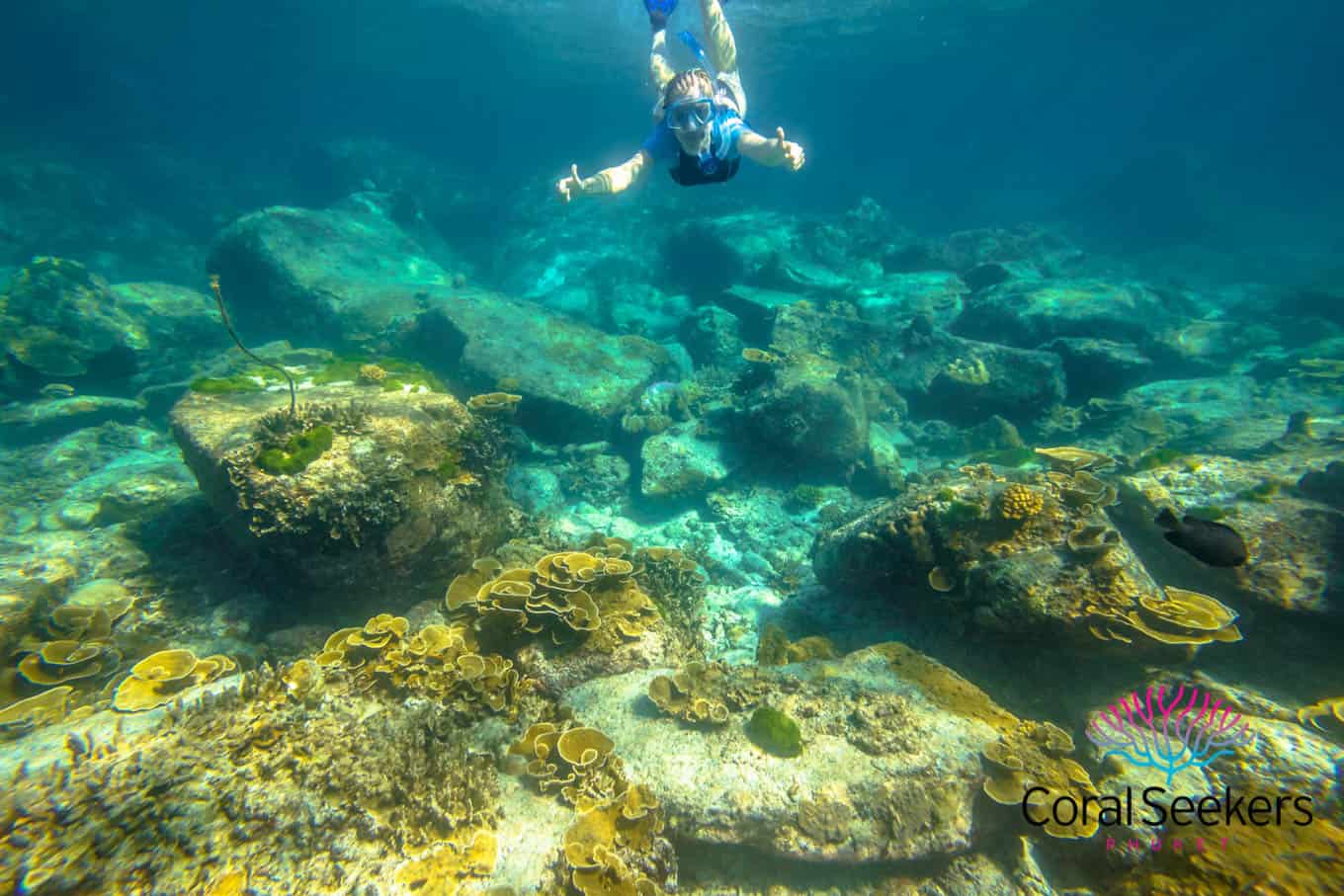 Coral seekers the rustic racha noi island tour 2023 » 25 september 2023