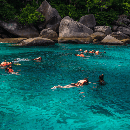 Coral seekers the breathtaking similan island tour 2023 » 6 february 2020