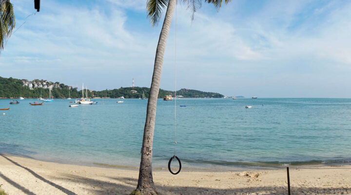 Boat charter to Coral Seekers’ Beach Club