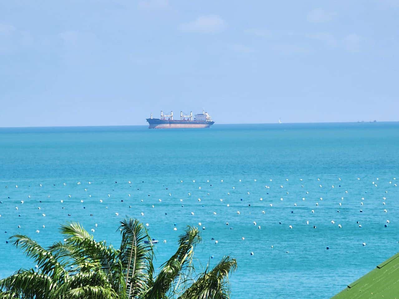 Big ships and cruise liners coming by