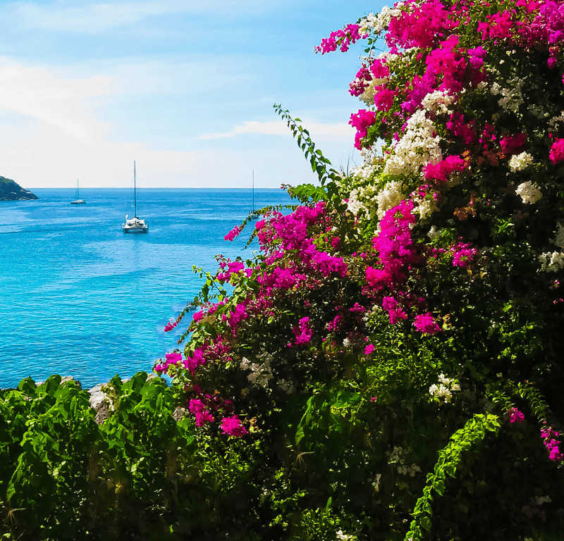 Coral seekers the grand racha island snorkeling tour 2024 » 18 january 2018