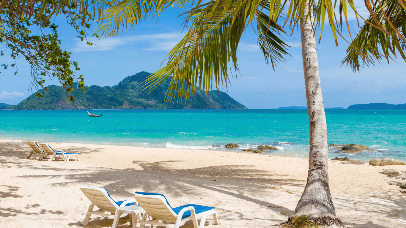 Bon island beach & palm trees