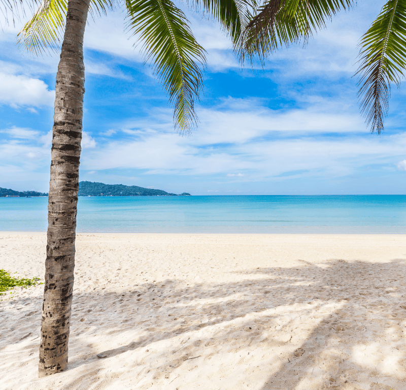 Relax and soak up the sun on one of the islands across the andaman sea