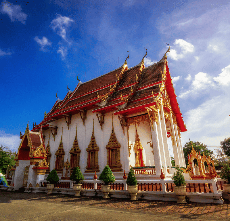 Coral seekers the top phuket scooter rental shops 2023 » 12 august 2023