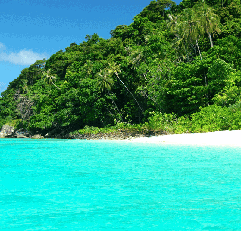 Coral island phuket tour clear water