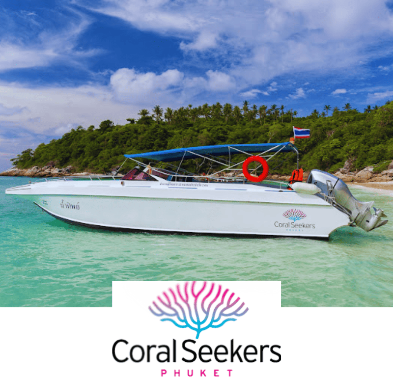 Corporate outdoor team building sightseeing boat tour with coral seekers