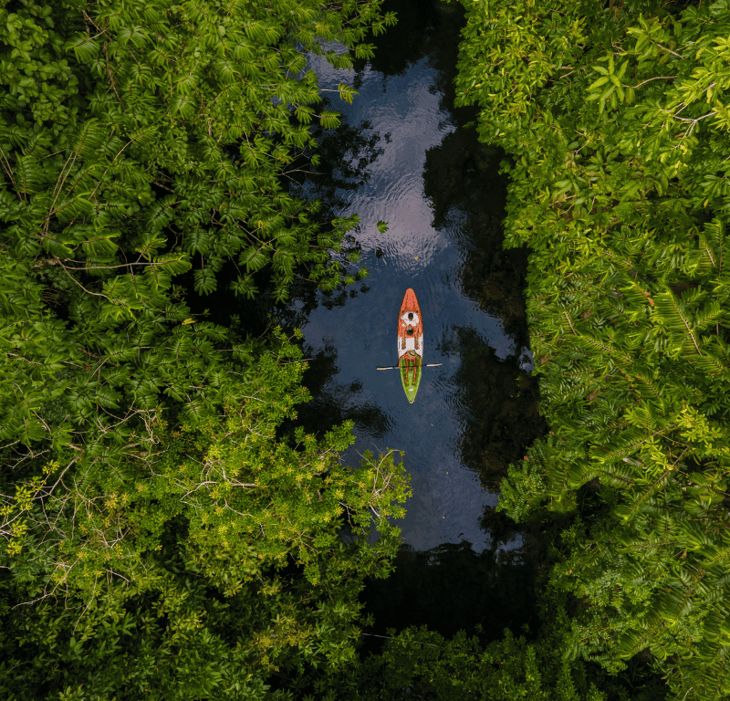 Sea kayak adventures andaman sea