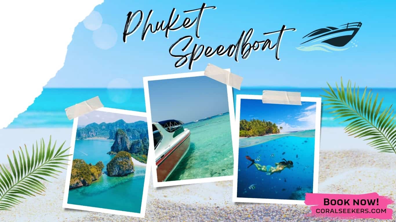 Phuket speedboat thailand adventures across the awe inspiring andaman sea