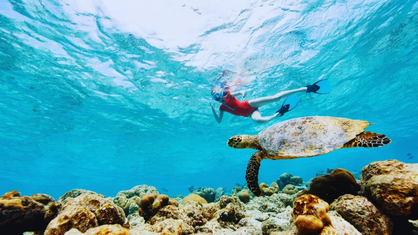 Snorkel the underwater world of some of the best destinations in the world