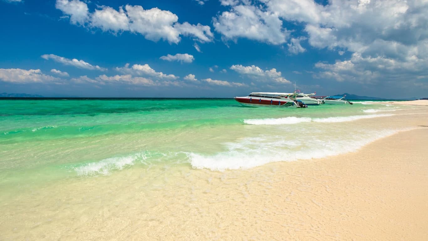 Bamboo island shores