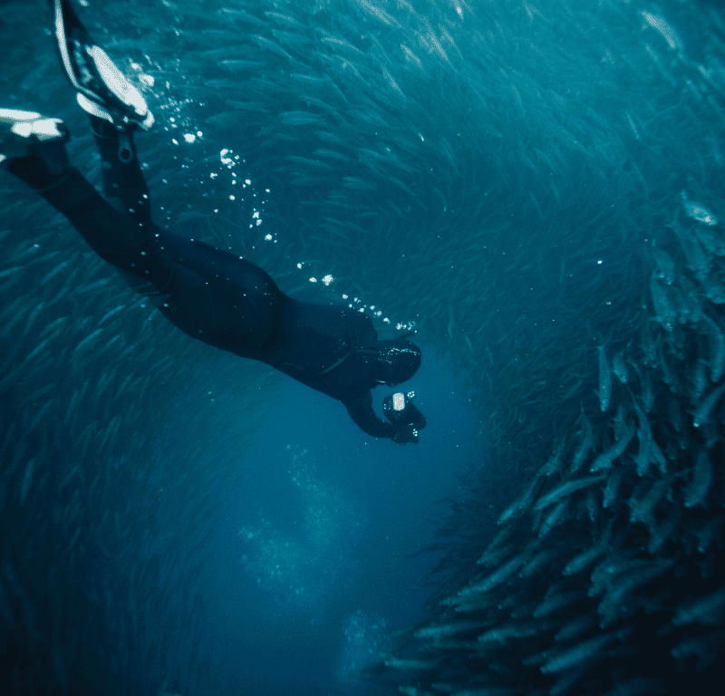 Coral seekers freediving phuket » 6 september 2023