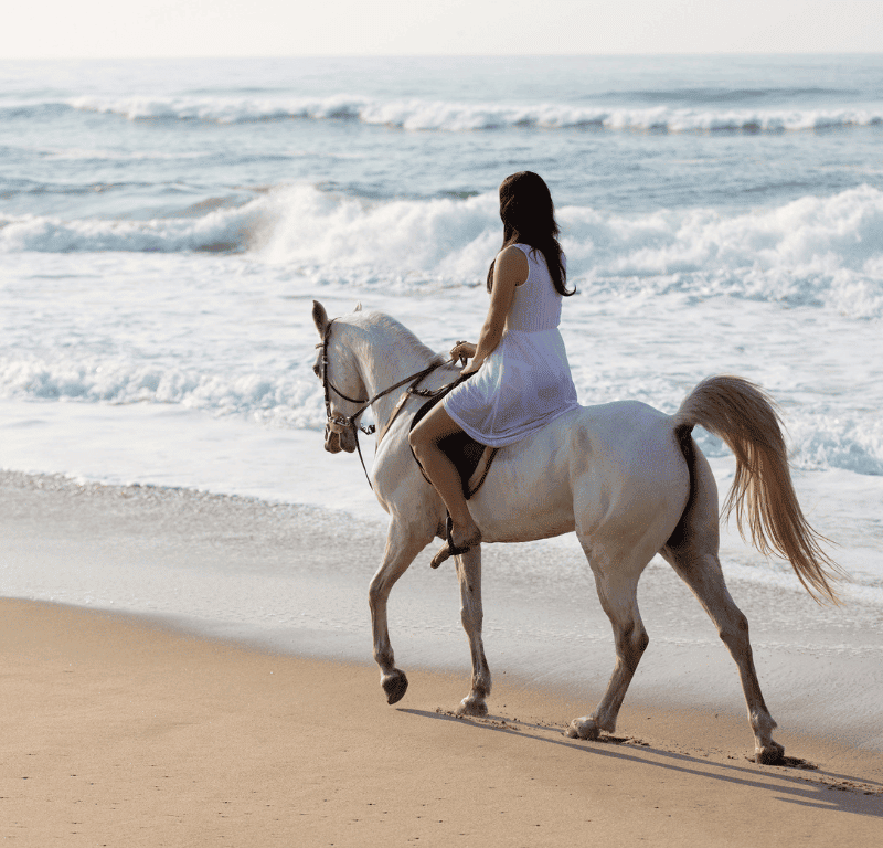 Lady riding horse near the waves