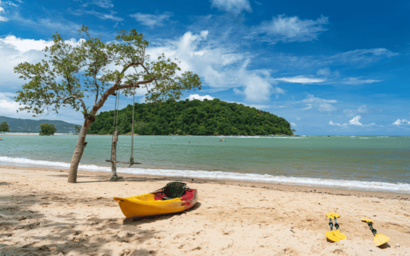 Kayak parked on beach with tree