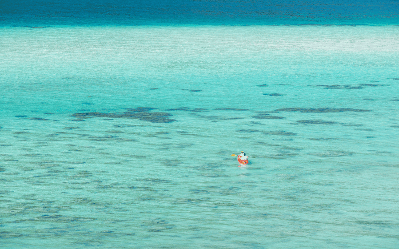 Kayak over coral reefs