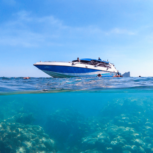 Coral seekers the remarkable koh haa island tour 2023 » 23 may 2023