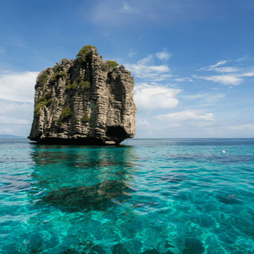 Coral seekers the remarkable koh haa island tour 2023 » 23 may 2023