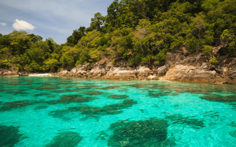 Coral seekers the scenic koh lipe phuket tour 2023 » 20 july 2023