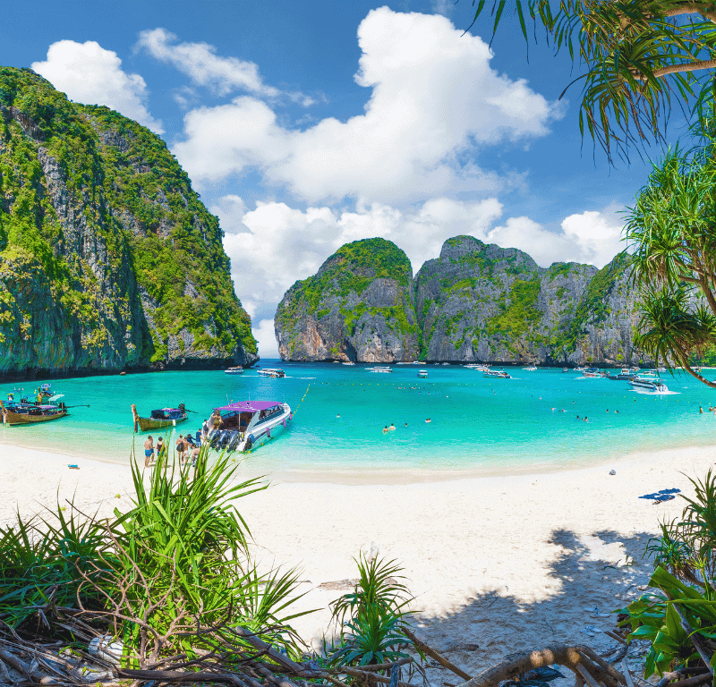 Maya-bay-closed