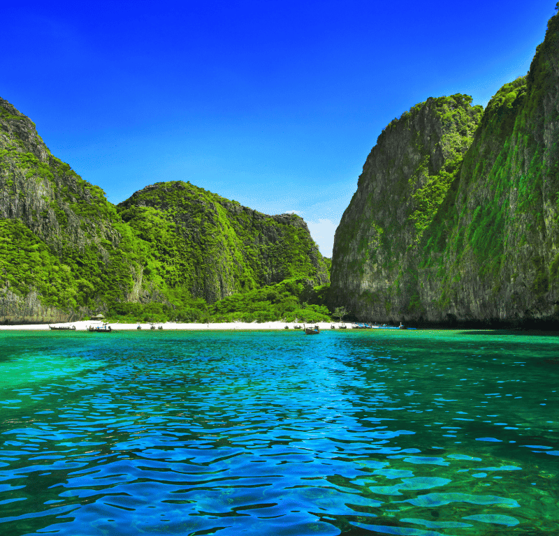 Coral seekers beautiful maya bay closed 2023 » 8 august 2023