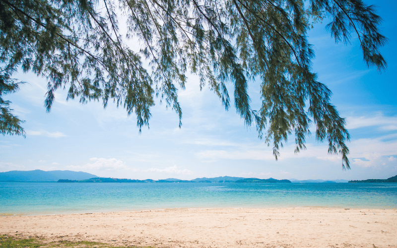 Coral seekers the remarkable naka island tour 2023 » 12 july 2023