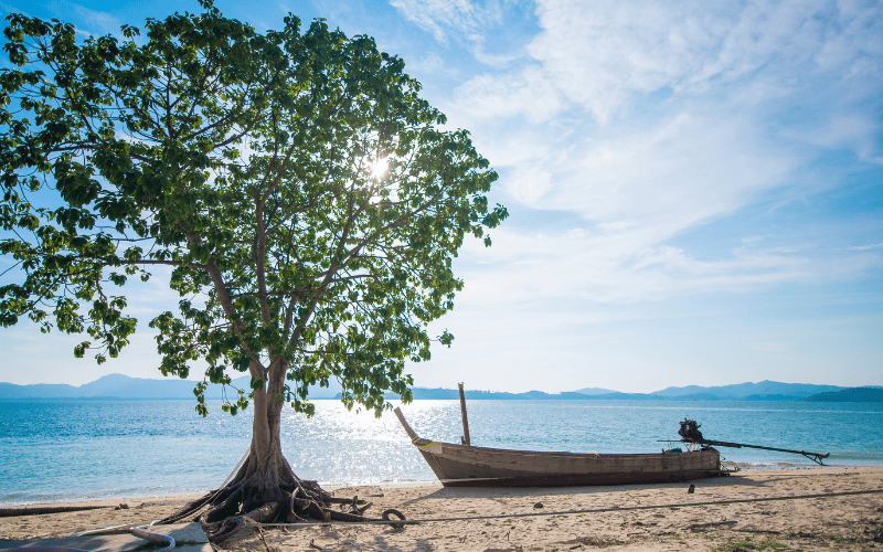 Coral seekers the remarkable naka island tour 2023 » 12 july 2023