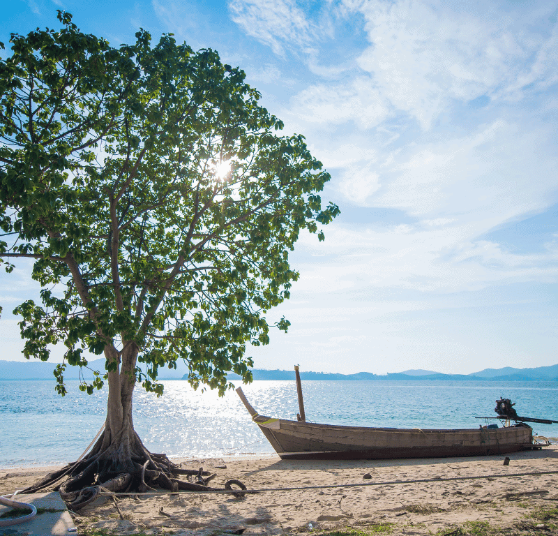 Coral seekers the enchanting naka noi island tour 2023 » 18 september 2023