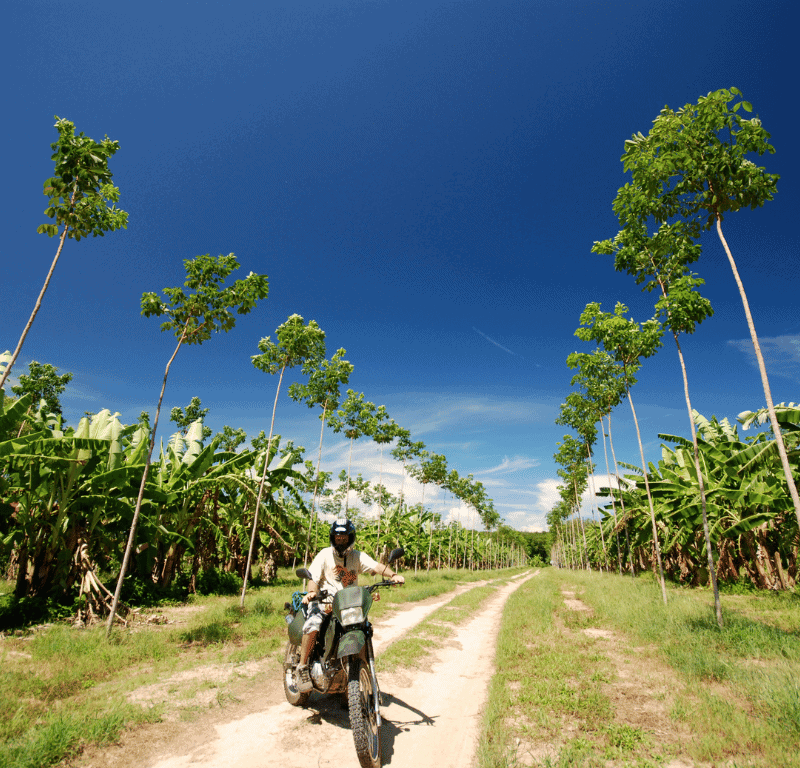 Phuket-scooter-rental-offroad