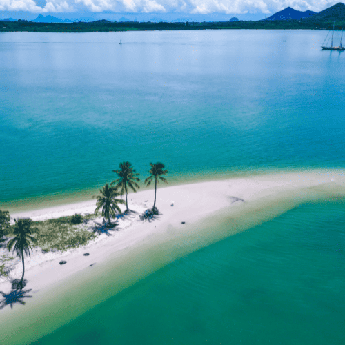 Yao yai point