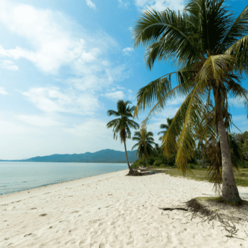 Awesome beaches and palm trees