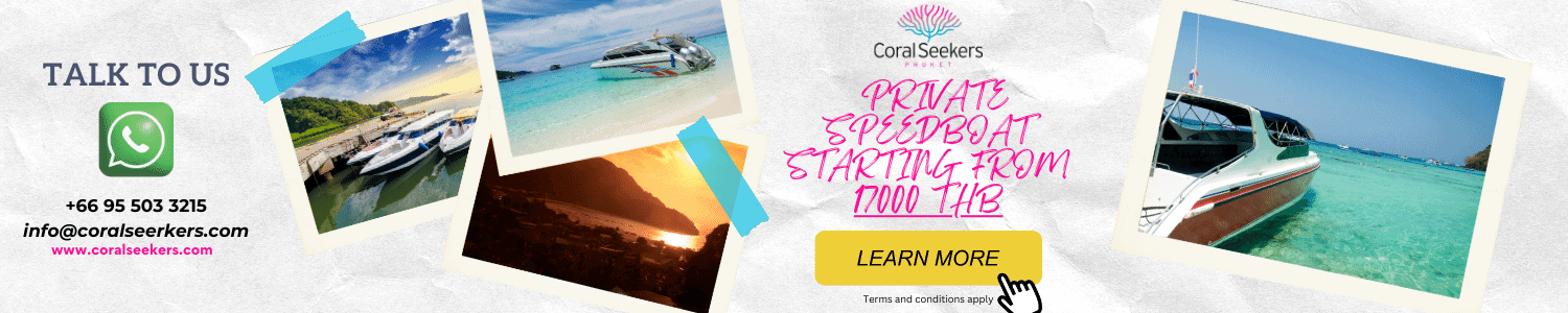 Coral seekers the stunning phi phi island tour 2023 » 14 december 2015