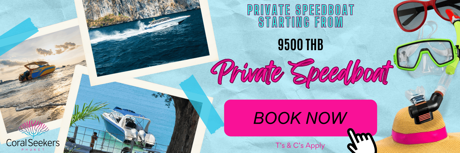 Book a private speedboat now banner