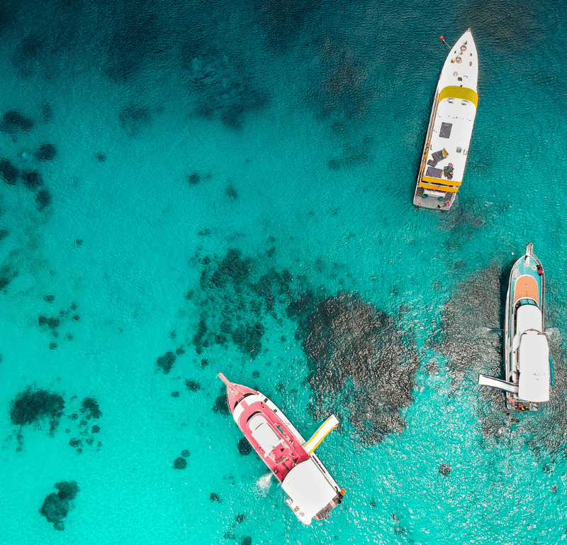 Coral seekers the grand racha island snorkeling tour 2024 » 18 january 2018