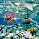 Speedboat Snorkeling Tour