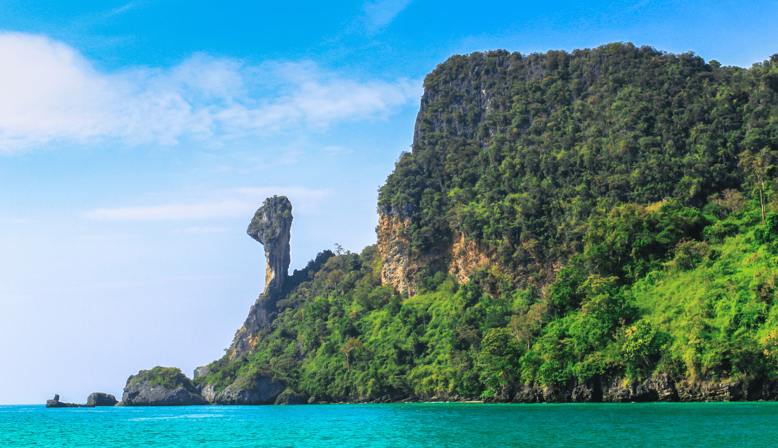 Visit the unique chicken island on this day tour